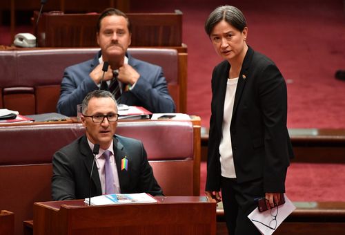 Labor Senator Penny Wong hailed the bill's passage as a historic momennt. (AAP)