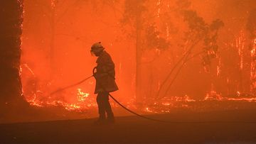 Firefighters have battled bushfires in south west Western Australia overnight.