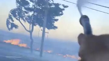 Hawaii fires