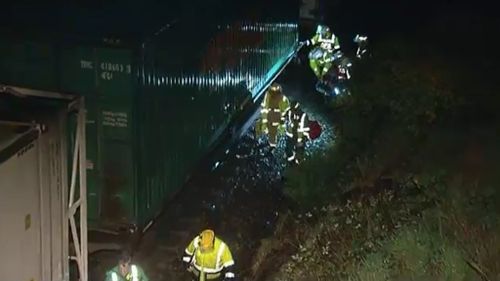 Firefighters and paramedics rescued a train driver crushed by a tree in the Adelaide Hills. (9NEWS)