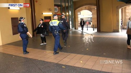 Police found the alleged offender on nearby Pitt Street. (9NEWS)