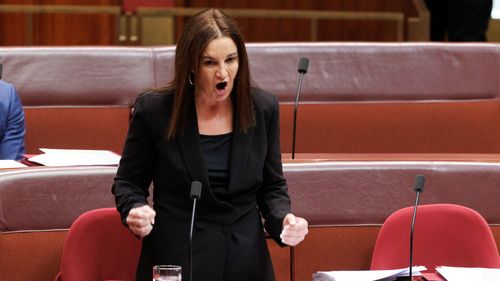 Senator Jacqui Lambie speaks in the Senate