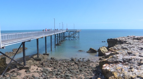 Jamie Hall was fishing off Nightcliff Jetty on Saturday afternoon, when one of his friends hooked onto something.