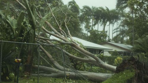 Cyclone Marcus brought winds not seen in a decade.