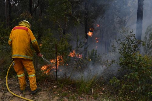 Fire crews continue to fight several blazes across NSW as the fires continue to bring smoke into highly populated areas.