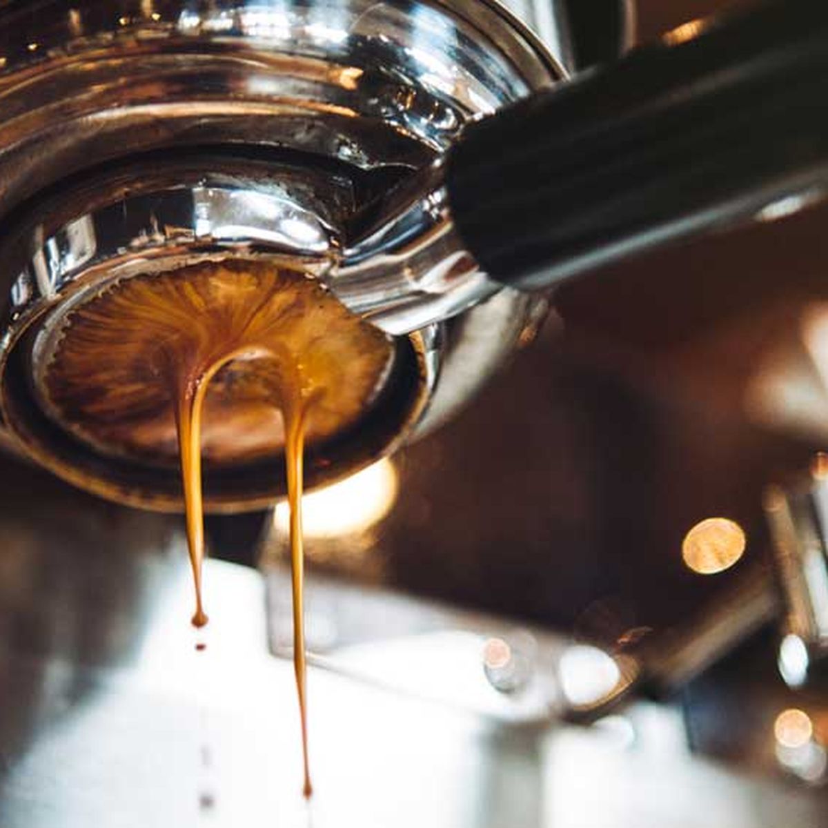 Flat White, 58% OFF | new.sewardjohnsonatelier.org