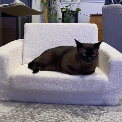 TikTok video of Kmart sofa being reused as a cat chair