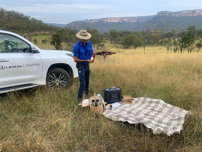 Blue Mountain picnic safari