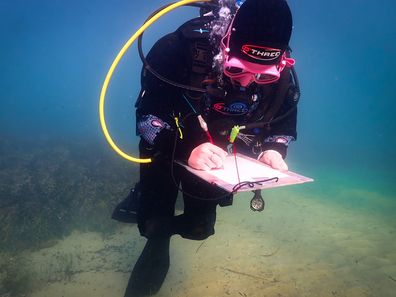 Heather Berry's condition reports South Australian wreck.