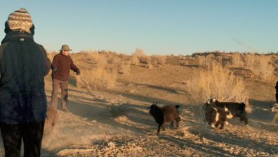 Witnessing the desert in Uzbekistan is eye opening.