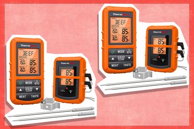 9PR: ThermoPro TP20 Wireless Meat Thermometer with Dual Probe