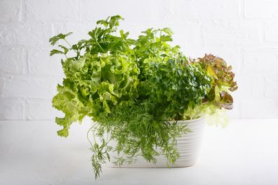gardening container vegetables