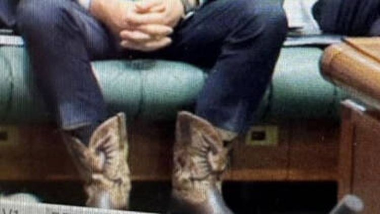 Barnaby Joyce opts for cowboy boots in Andrew 'Twiggy' Forrest parliamentary wind farm protest