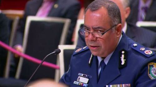 NSW Deputy Commissioner Nick Kaldas.