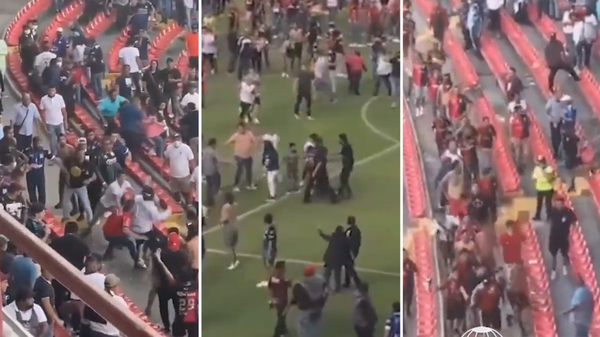 Five Mexican officials suspended over massive brawl among fans at soccer  match