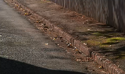 Residents in Adelaide's east are frustrated over a man who continues to defecate on the footpath in Brunswick Lane, even catching him on camera.