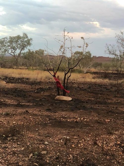 Clothes with Ashleigh's scent are being left along the highway for Flikr to hopefully recognise.