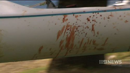 Mr Quinlivan's surf ski was covered in blood. (9NEWS)