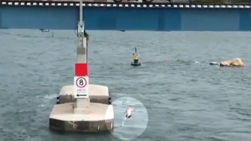He lands in the water just metres from a concrete pillar used to support the bridge, avoiding an almost certain death. (Facebook)