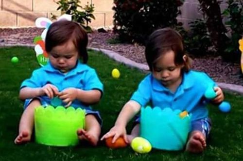 Twin toddlers drown after their mother tried to swat a bee