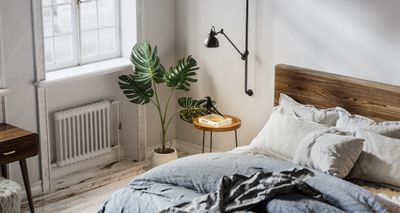 Add a plant to your bedroom