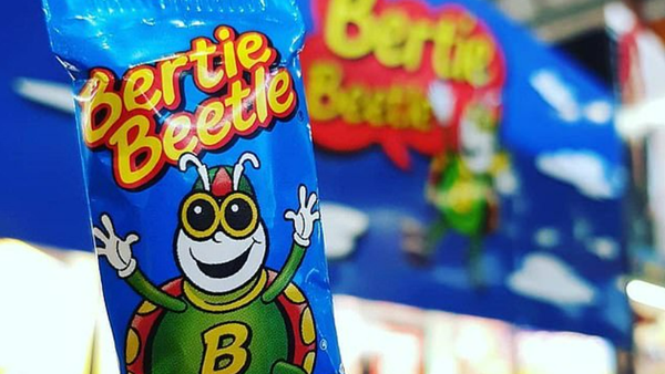 Bertie beetle chocolate