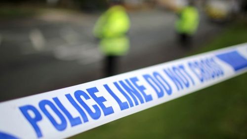 Teenager pleads guilty to murder in mum's fatal stabbing