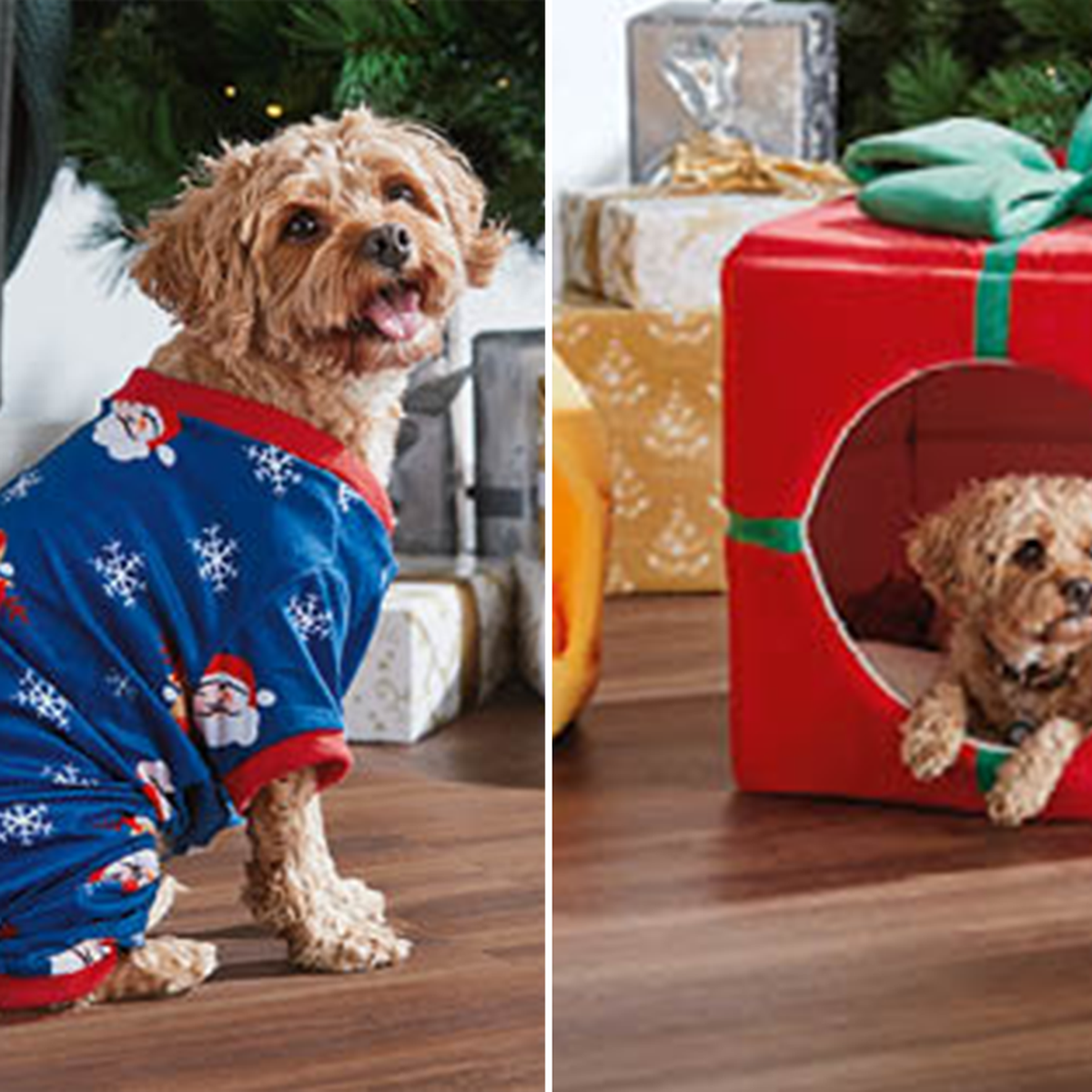 Aldi Is Selling Matching Holiday Pajamas for You and Your Pet—and They're  Under $15 - ECHEMI