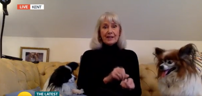 Woman defends elderly dog ownership