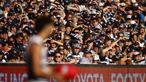 Cats fans look on as Tyson Stengle of the Cats lines up for goal during the 2022 AFL Grand Final match between the Geelong Cats and the Sydney Swans at the Melbourne Cricket Ground on September 24, 2022 in Melbourne, Australia. (Photo by Daniel Pockett/AFL Photos/via Getty Images)