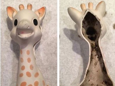 Pediatric dentist Dana Chianese found mould inside her Sophie the Giraffe toy in 2017
