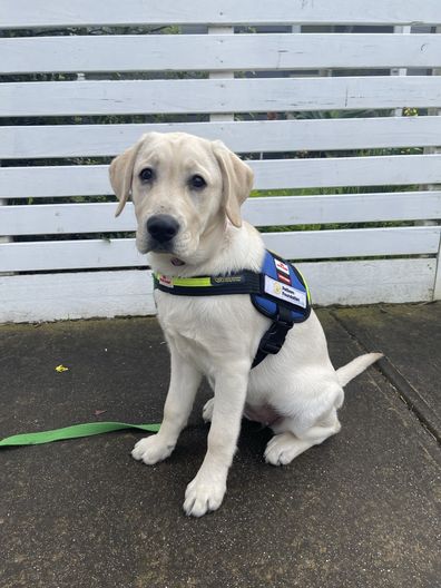 Flossy wears her seeing eye dog in training vest while out and about.