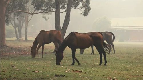 Residents have been warned to have their livestock and anything they need ready to go in case the fire worsens.