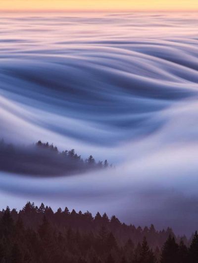 People's Choice, Places: Cotton candy, fog waves