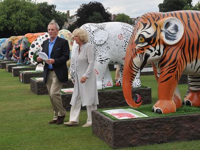 Camilla, Duchess of Cornwall with brother Mark Shand in 2010.