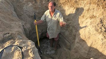 In this image provided by the Town of Kill Devil Hills, N.C., David Elder, ocean rescue supervisor for Kill Devil Hills, N.C, stands in a hole. 