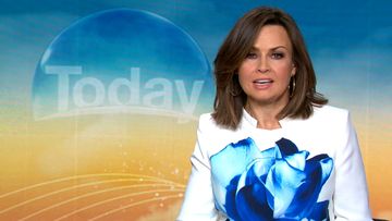 Lisa Wilkinson on the TODAY show this morning.