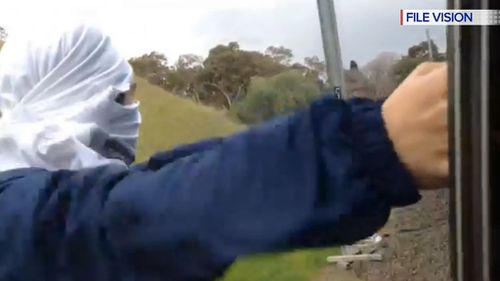 Train surfers have filmed their dangerous behaviour and shared it on social media. (9NEWS)