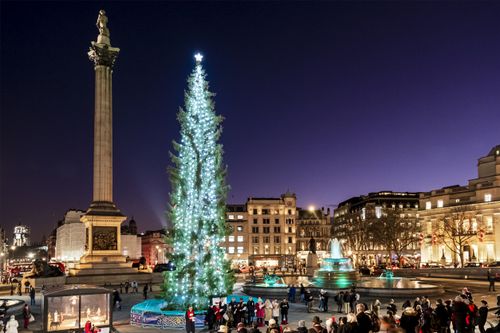 Christmas tree at Trafalgar Square.