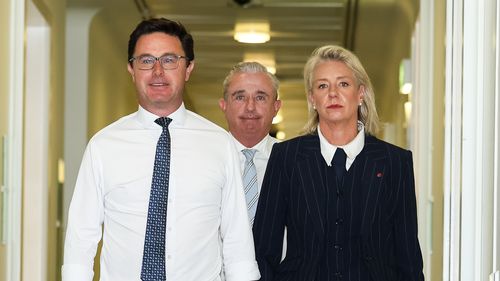 David Littleproud, Kevin Hogan and Bridget McKenzie will form the Nationals' leadership team.