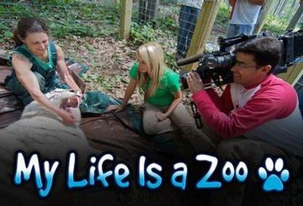 My Life is a Zoo