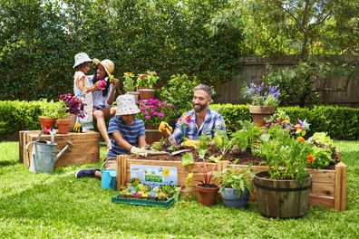 Woolworths Discovery Garden 