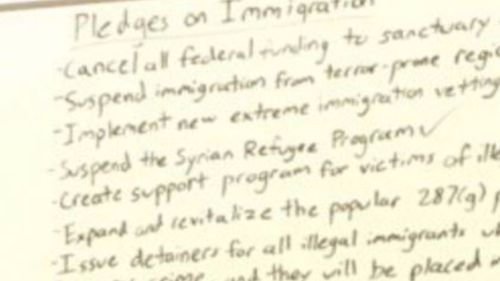 Bannon's "Pledges on Immigration." (Twitter)