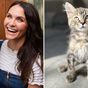 Laura Byrne's new rescue kitten gets mixed response at home
