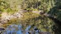 The woman was water tubing at Emu Creek when she fell into the water. A search is continuing today after she failed to resurface.