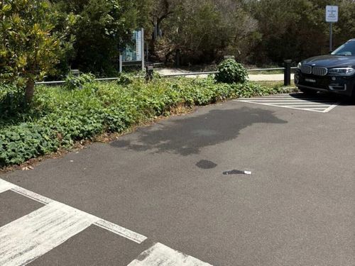 Un abitante di Sydney pensava che questo fosse un parcheggio ma ha preso una multa quando ha lasciato qui la sua macchina.