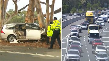 A raft of new safety measures are set to be introduced in Queensland to address bad drivers.