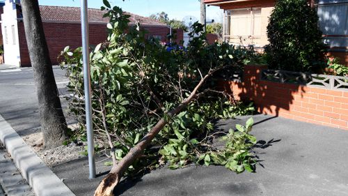 Wild winds struck Melbourne two weeks ago, causing felled trees and damaged rooves. (AAP)