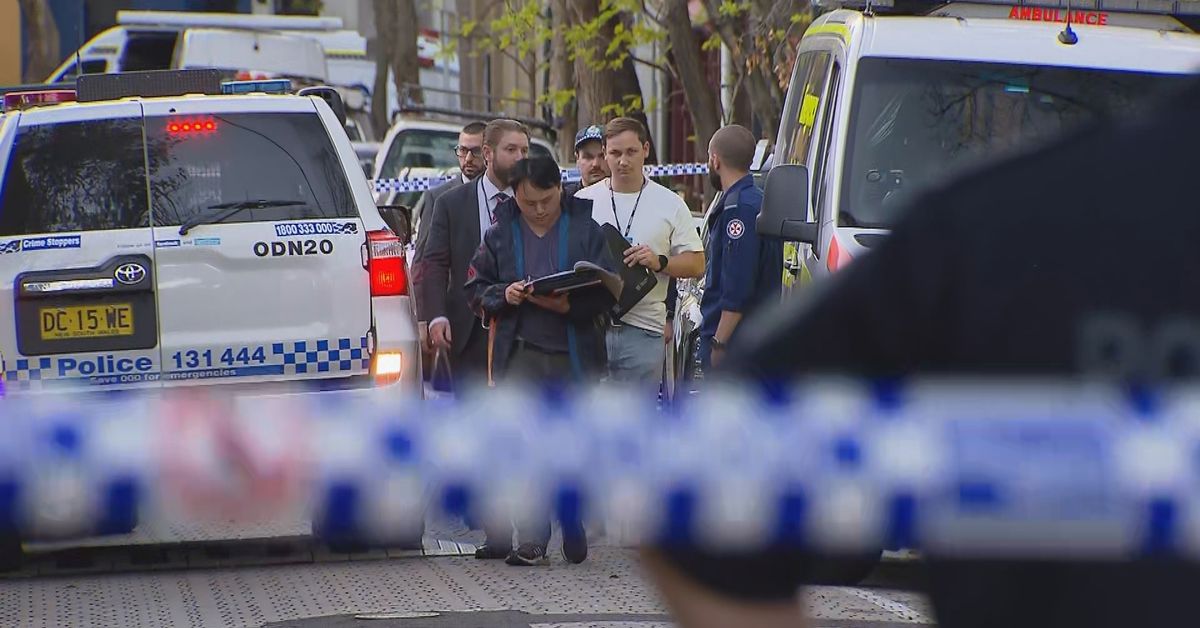 NSW Police to be given 'wanding' powers to fight knife crime