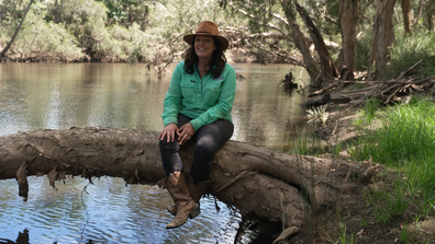 Splitters Farm. An animal rescue farm and getaway run by Carly and Ashley Clark in Bundaberg.